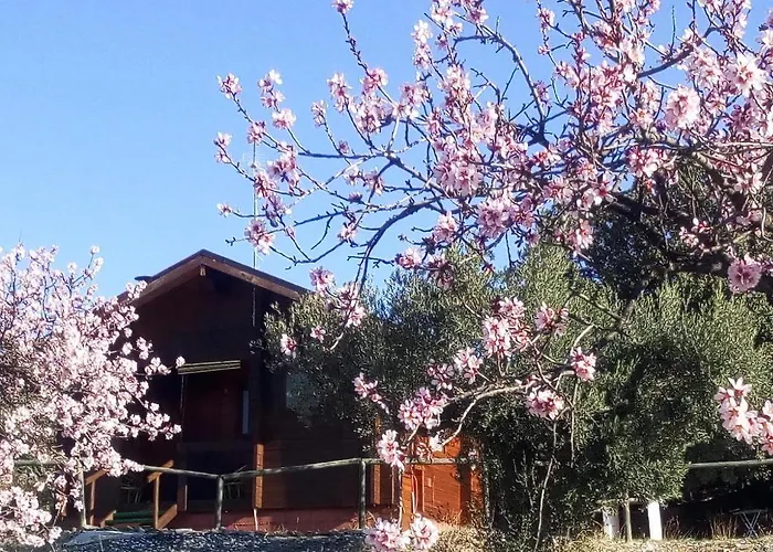 Casa La colina mandarina I