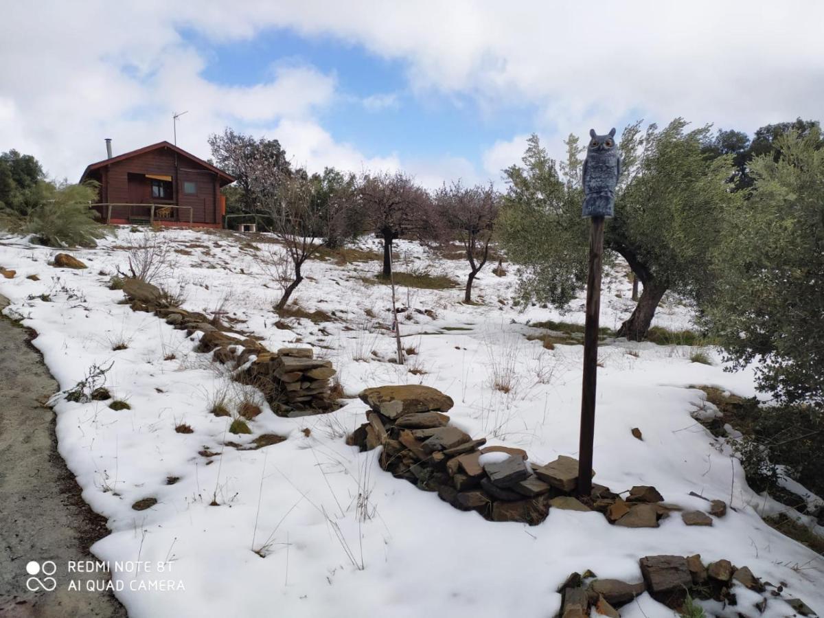 Casa La Colina Mandarina I Tahal