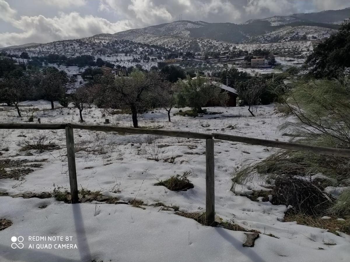 Holiday home Casa La Colina Mandarina I