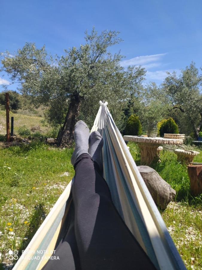 Casa vacanze Casa La Colina Mandarina I