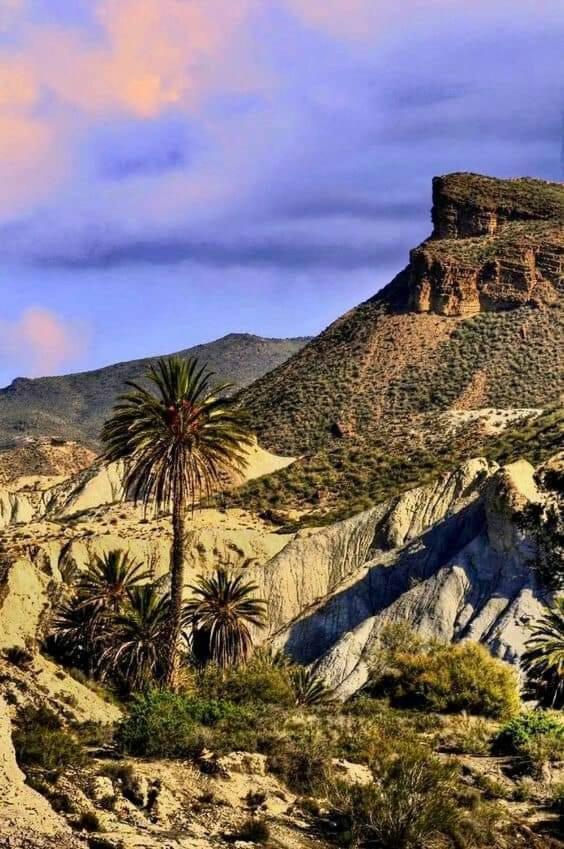Casa La Colina Mandarina I Holiday home Tahal