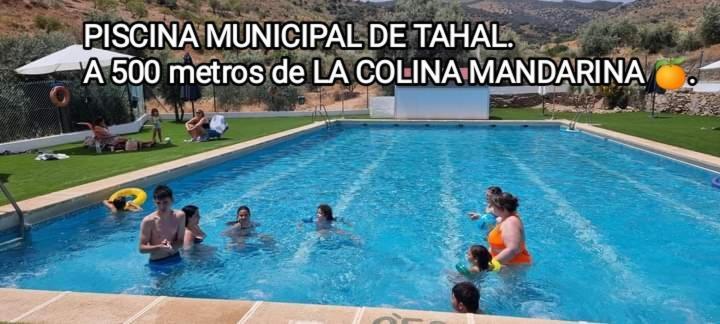 Holiday home Casa La Colina Mandarina I