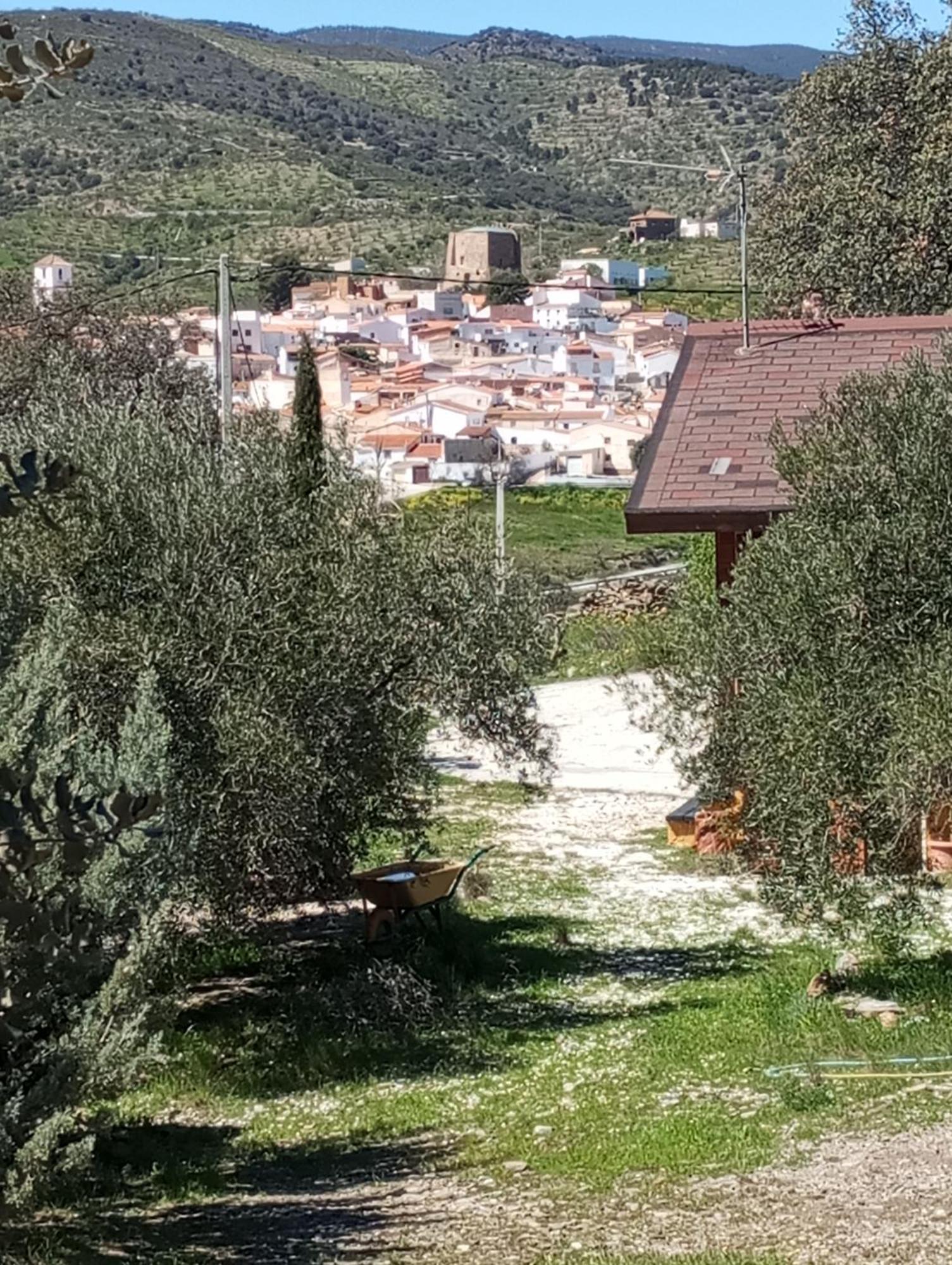 Casa La Colina Mandarina I *