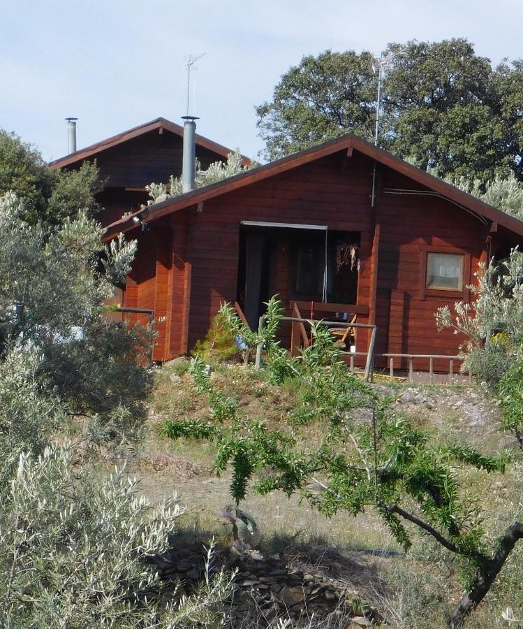 Casa vacanze Casa La Colina Mandarina I