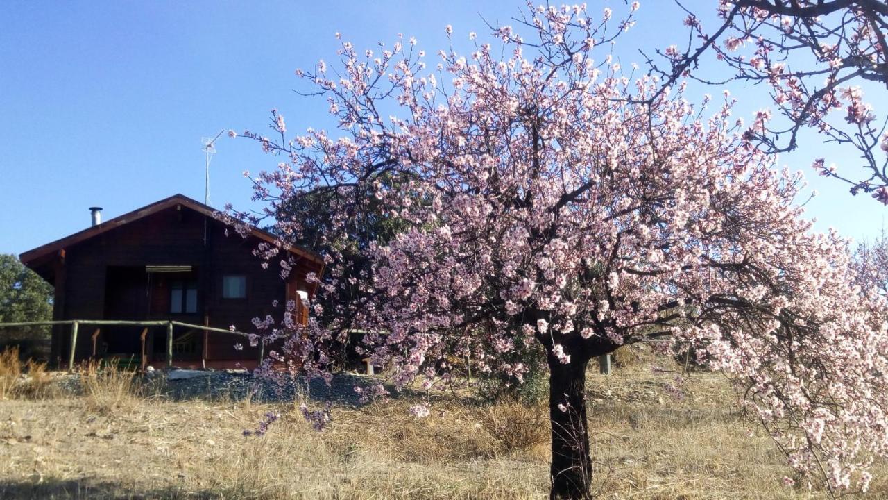 Casa La Colina Mandarina I * Tahal