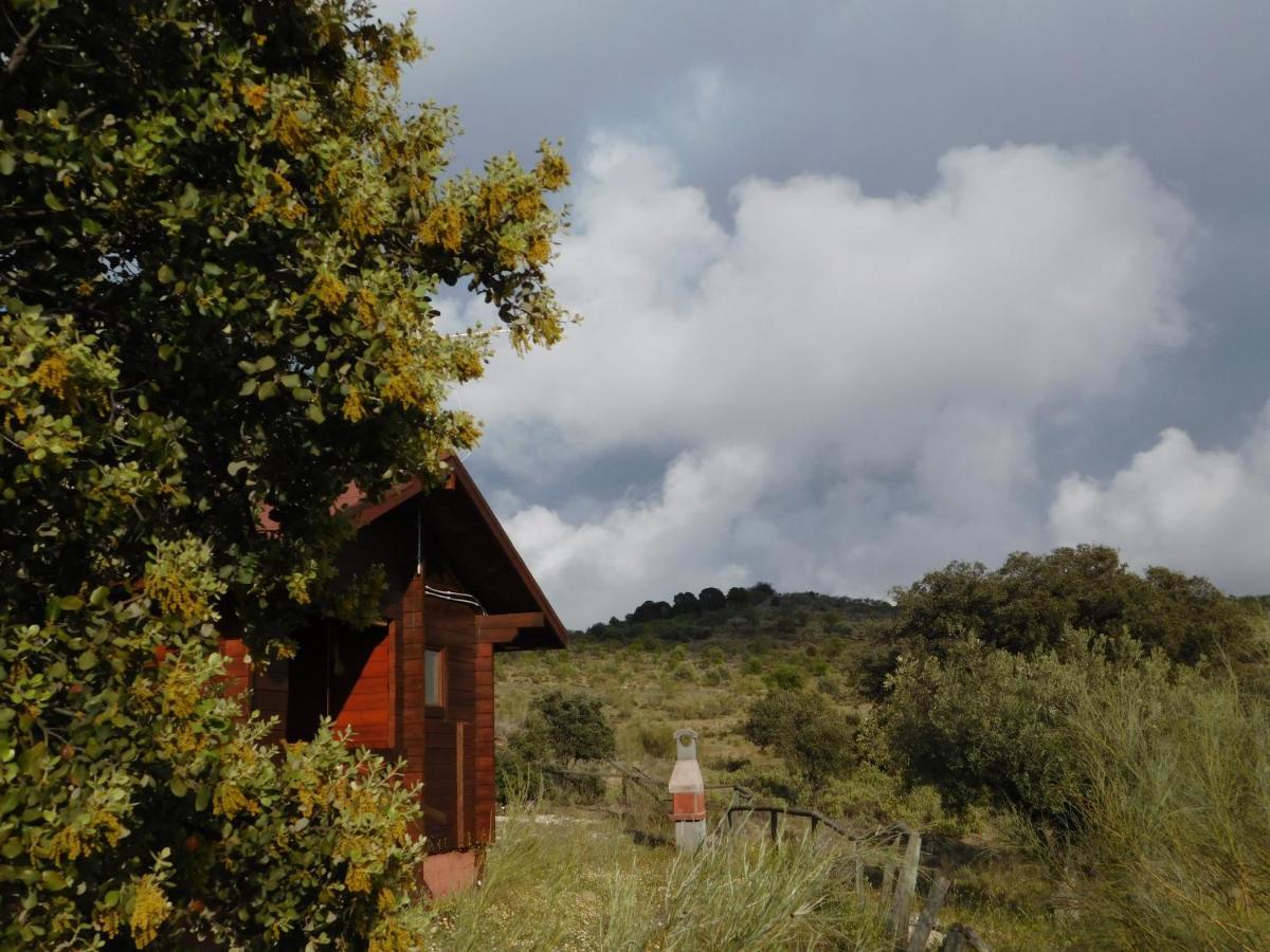 Casa La Colina Mandarina I