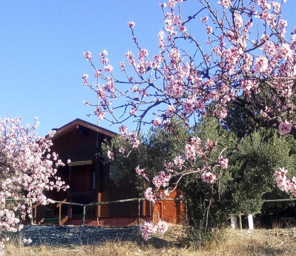 Holiday home Casa La Colina Mandarina I Tahal