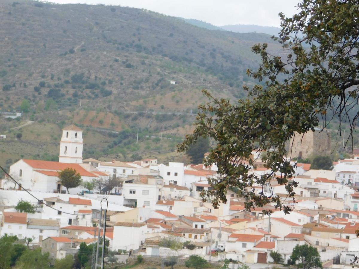 Casa La Colina Mandarina I *