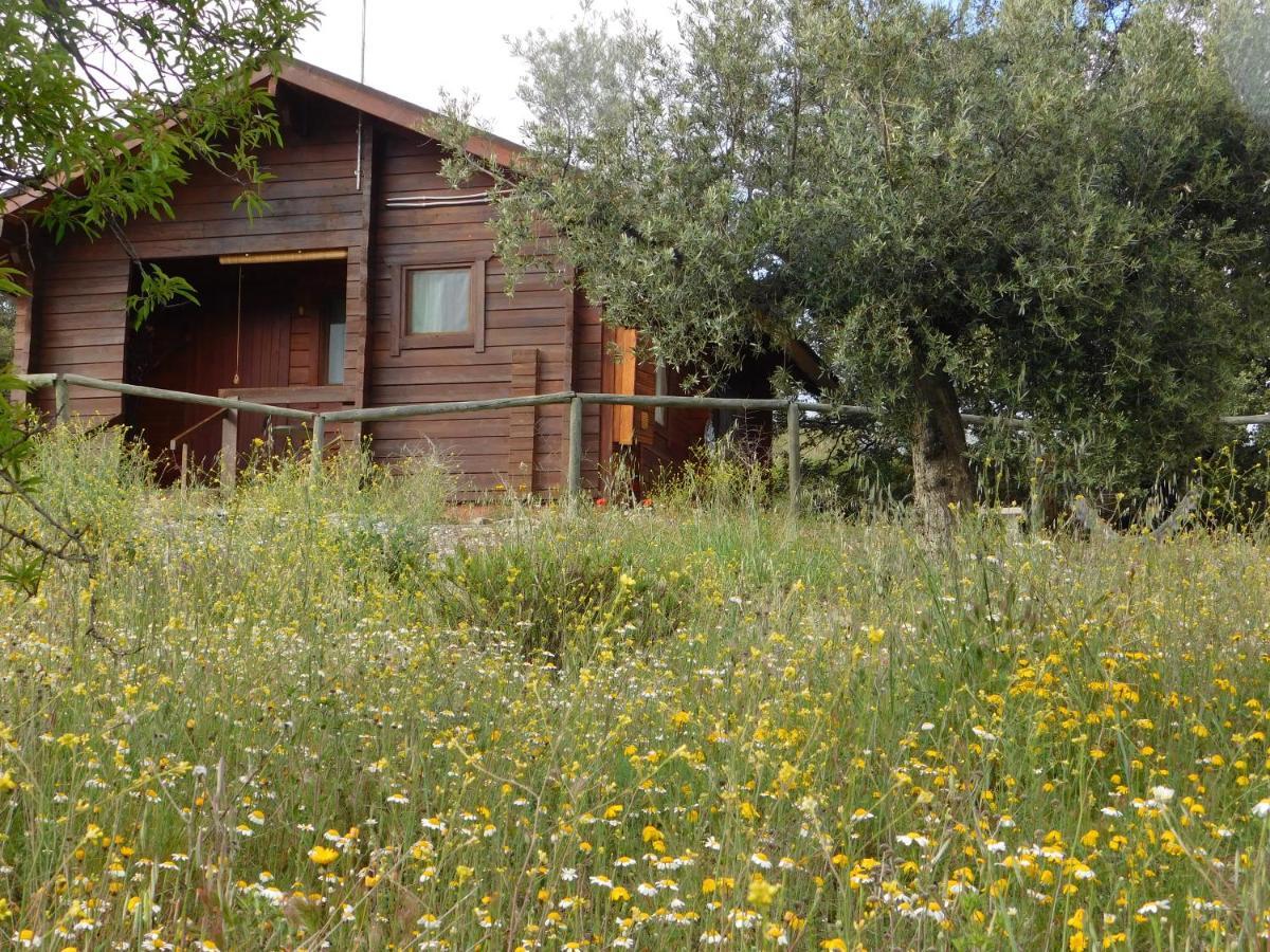 Casa La Colina Mandarina I Tahal