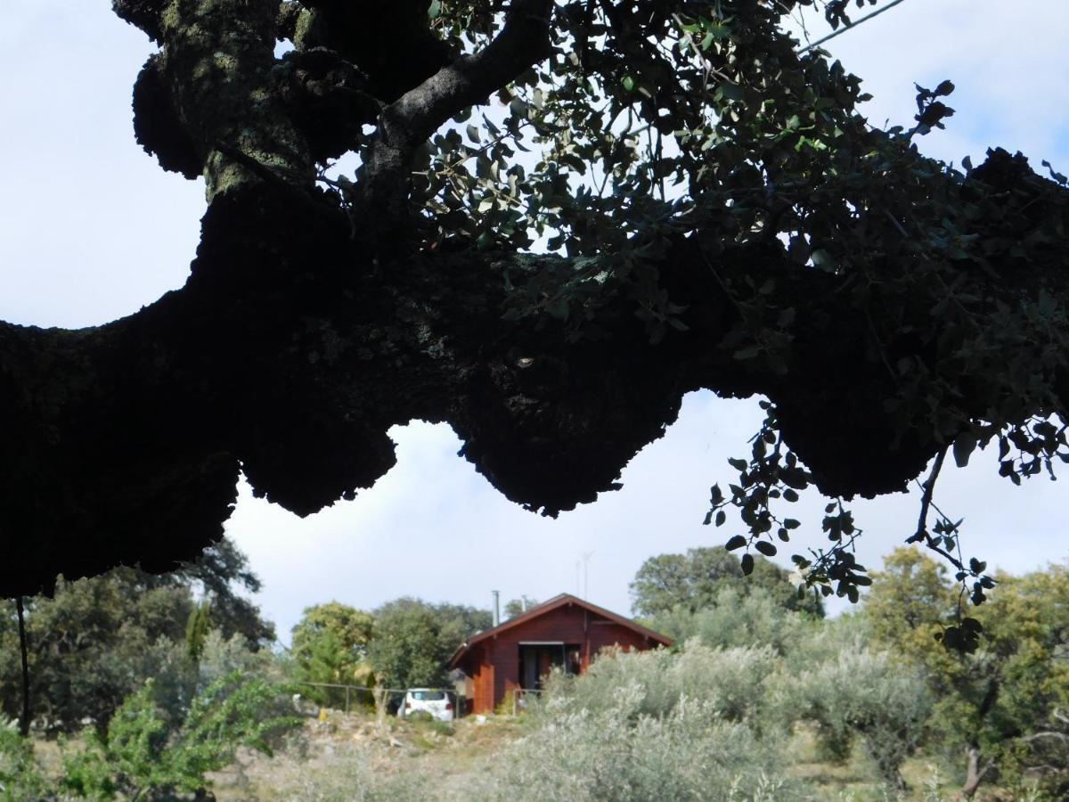 Casa La Colina Mandarina I Holiday home *